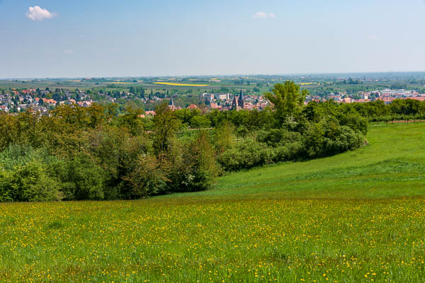 Wissembourg depuis les hauteurs