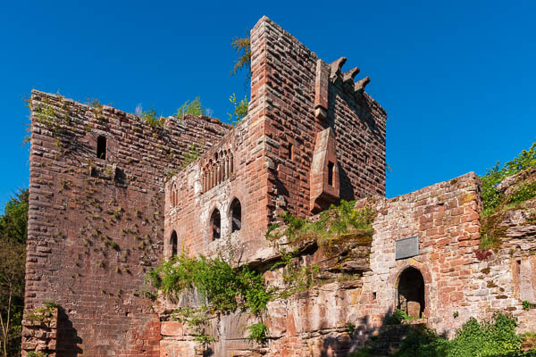 Château du Wasenbourg