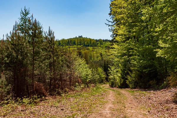 Lichtenberg