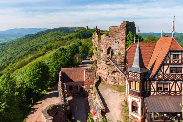 Château du Haut-Barr : vue vers le Geroldseck