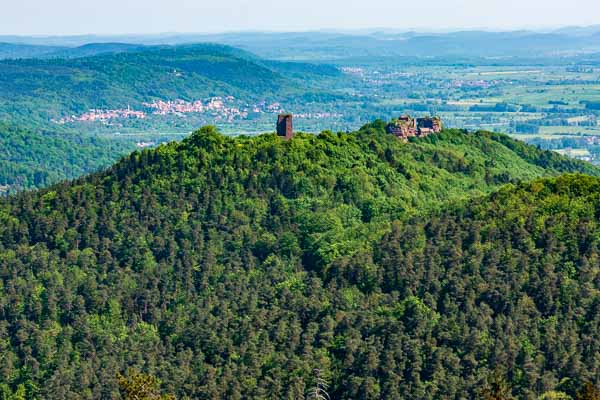 Tour du Brotsch : Geroldseck et Haut-Barr