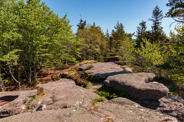 Schneeberg, 961 m