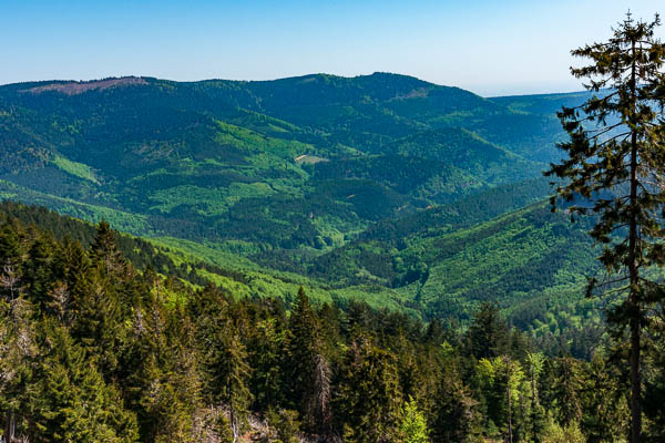 Le Schneeberg depuis le Rocher de Mutzig, château du Nideck