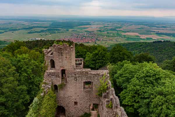 Château du Bernstein