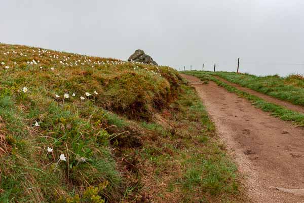 Crête entre Hohneck et Herrenberg