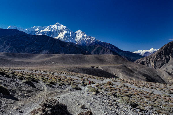 Les Nilgiris, 7061 m