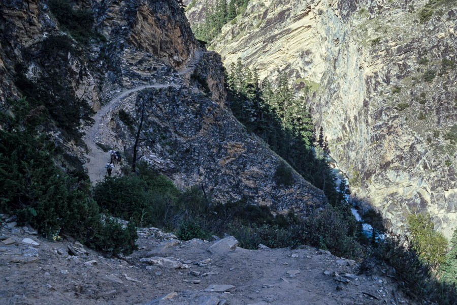 Sentier à flanc, mules