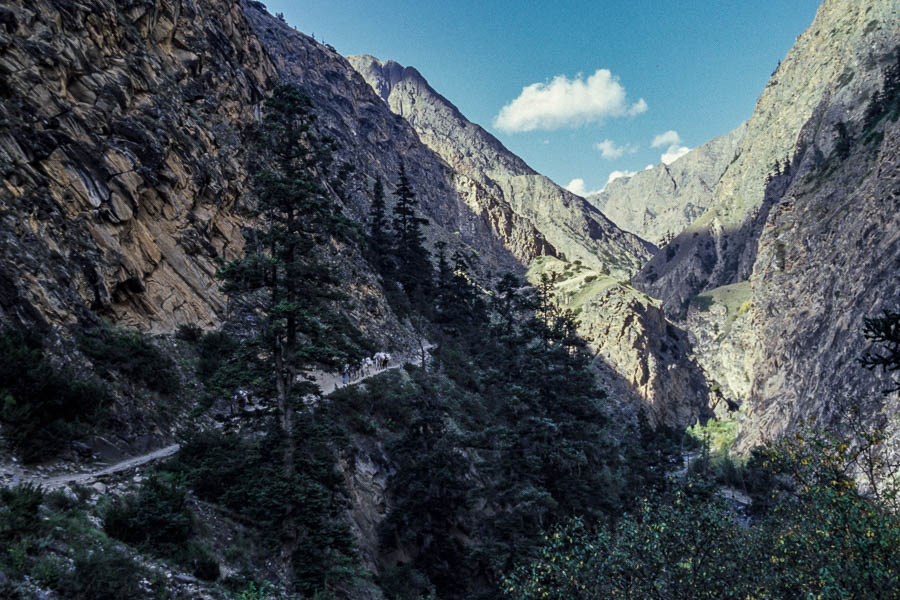 Sentier à flanc, mules