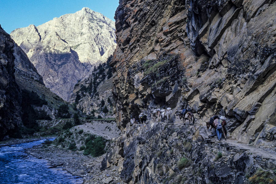 Sentier le long de la Tarap, mules