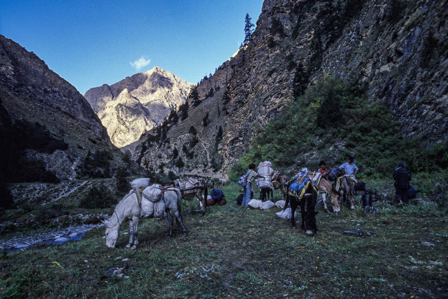 Camp de Chukore, 3550 m