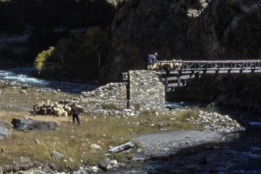 Sentier le long de la Tarap