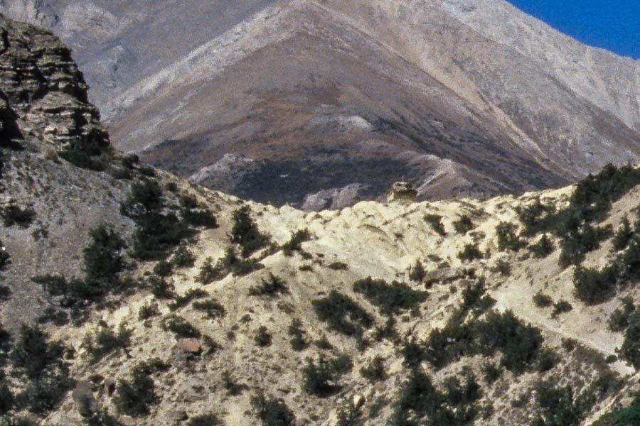 Sentier le long de la Tarap