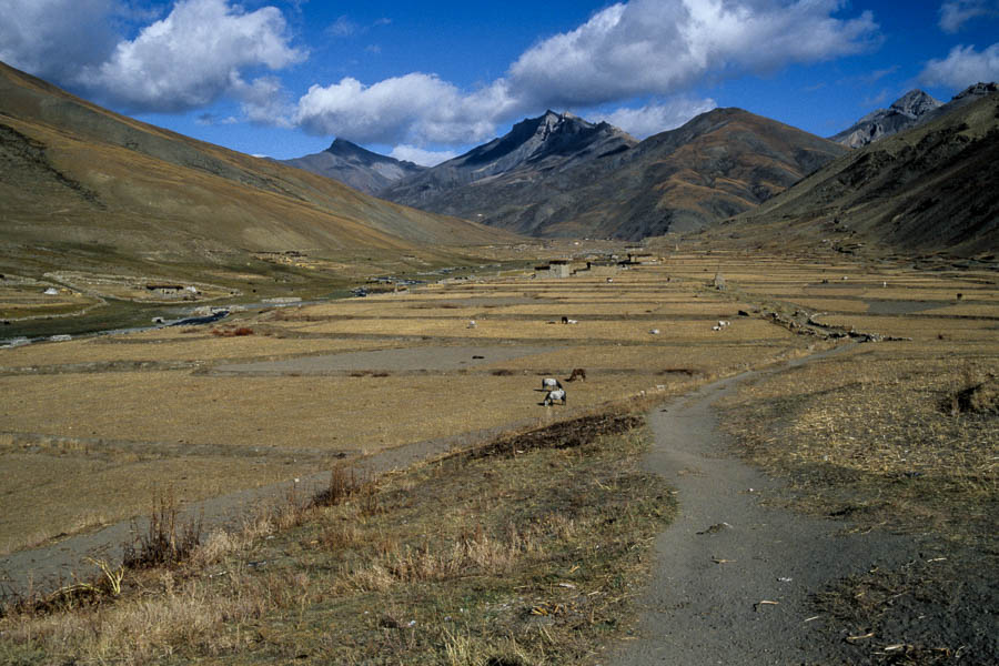 Vallée de la Tarap, village de Tok-Khyu