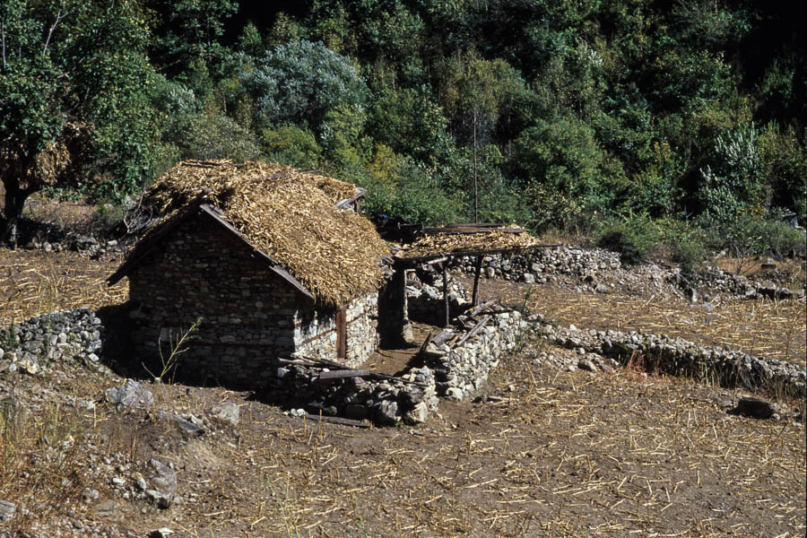 Entre le Kagmara et Hurikot : maison