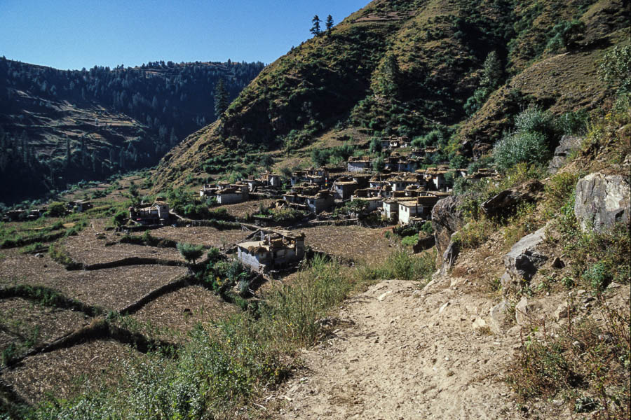 Hurikot