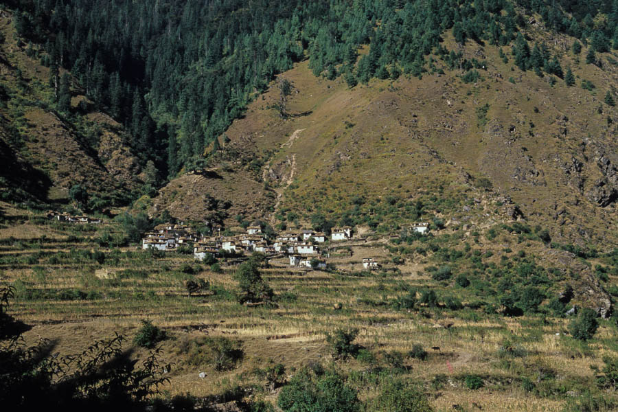 Hurikot