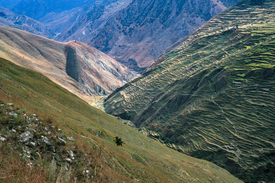 Vallée et terrasses