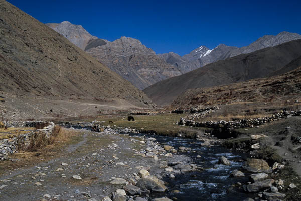 Rivière à l'est de Dho