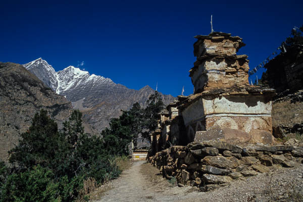 Gompa de Ringmo : chortens