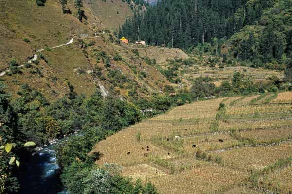 Gompa de Hurikot