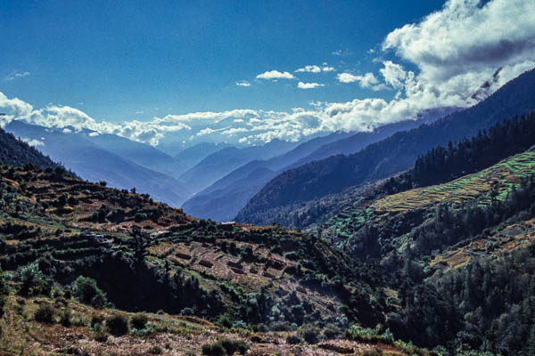 Vallée vers Juphal