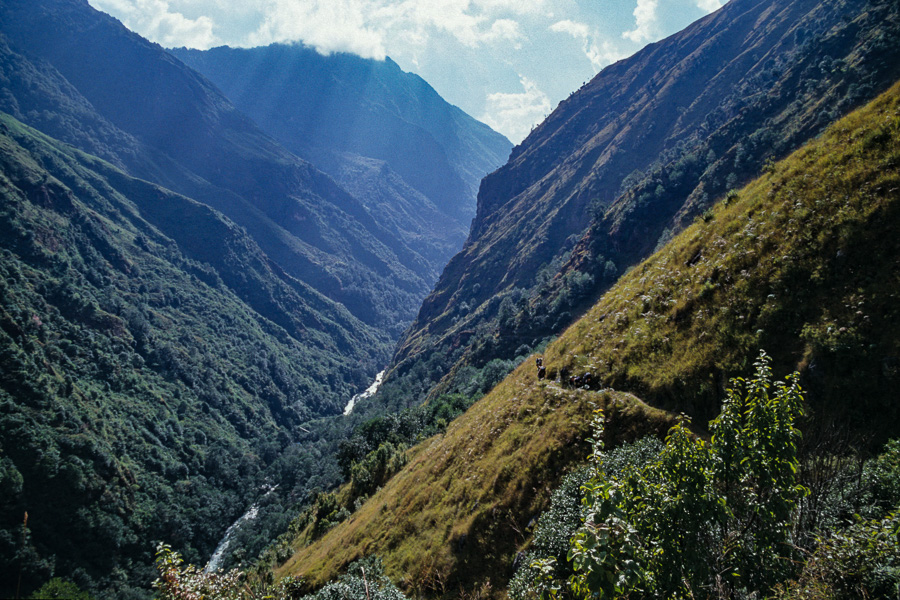 Vallée de la Ghunsa Khola sous Amjilhosa