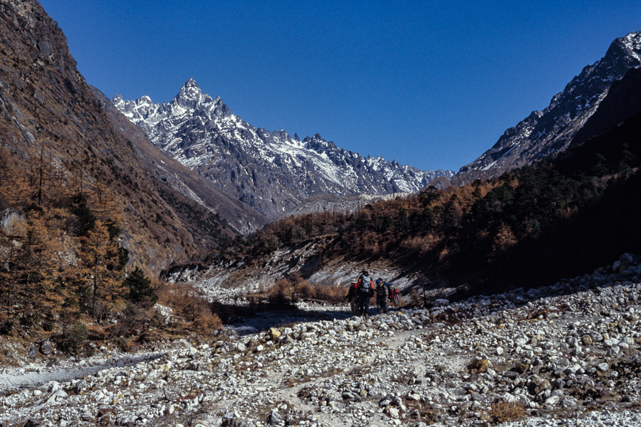 Vallée entre Ghunsa et Kambachen