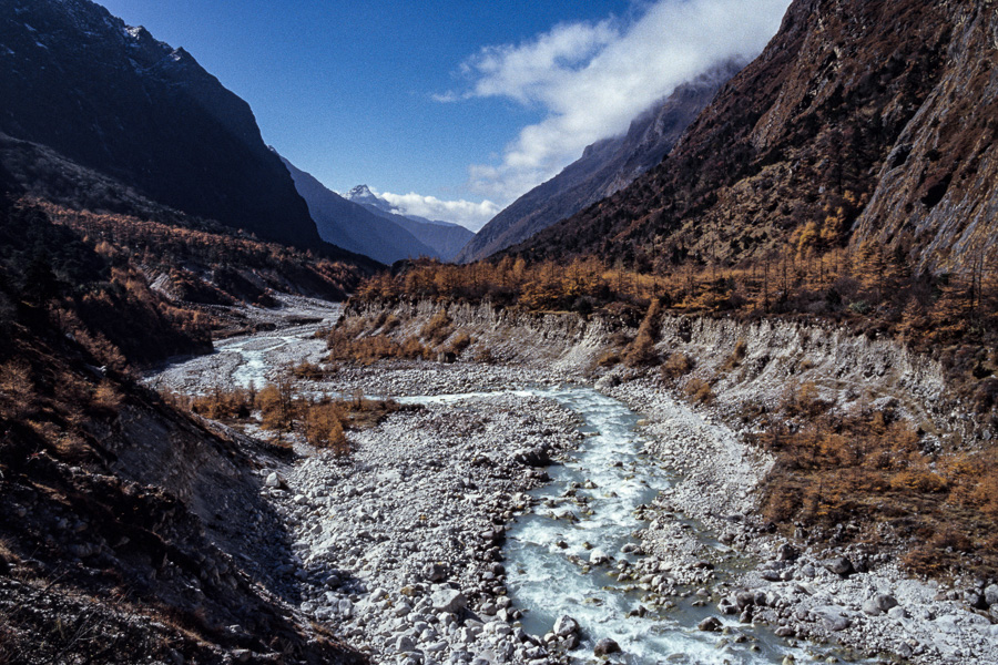 Vallée entre Ghunsa et Kambachen