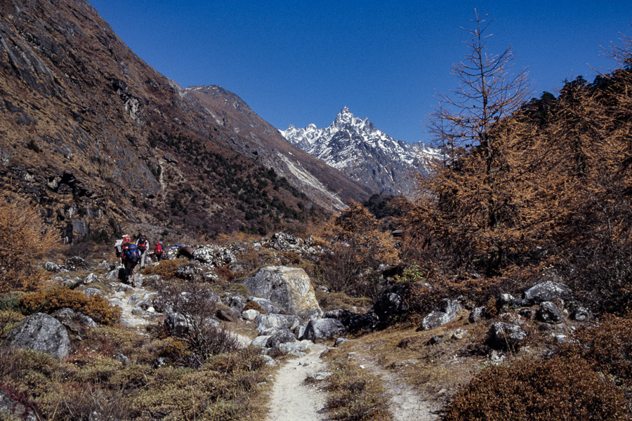 Vallée entre Ghunsa et Kambachen