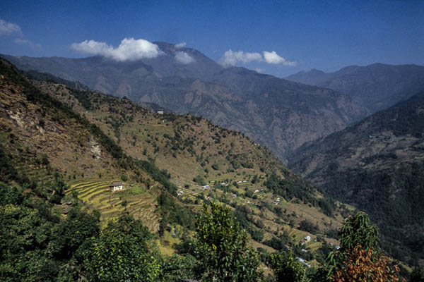 Collines