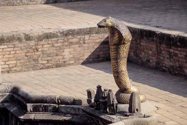 Bassin aux serpents du palais royal