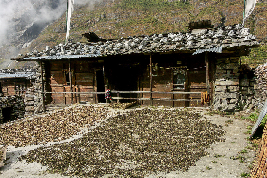 Village de Langtang