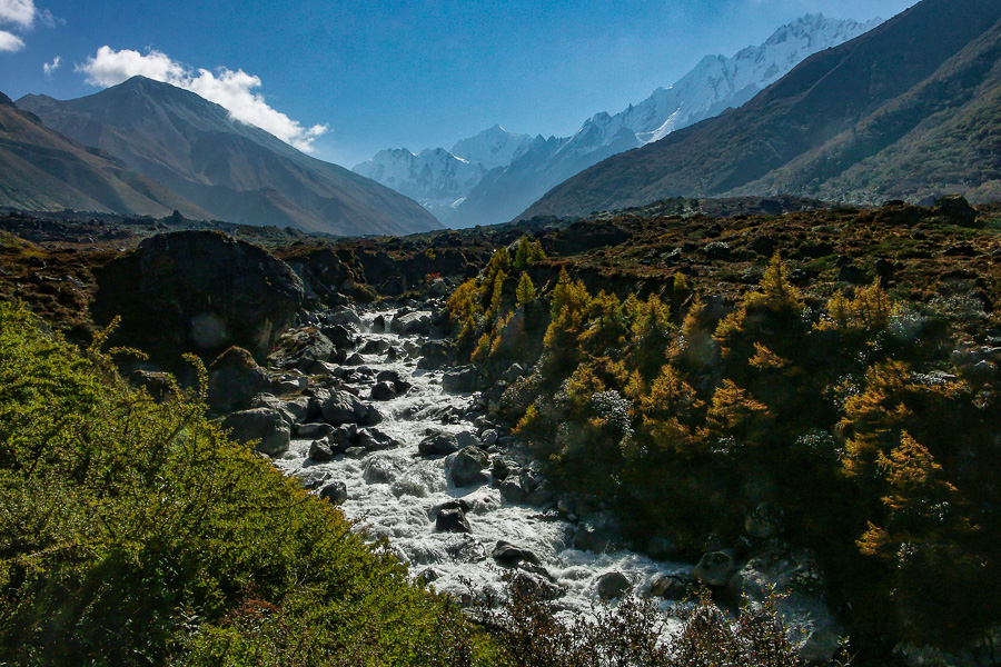 Langtang Khola, au fond le Gangchenpo