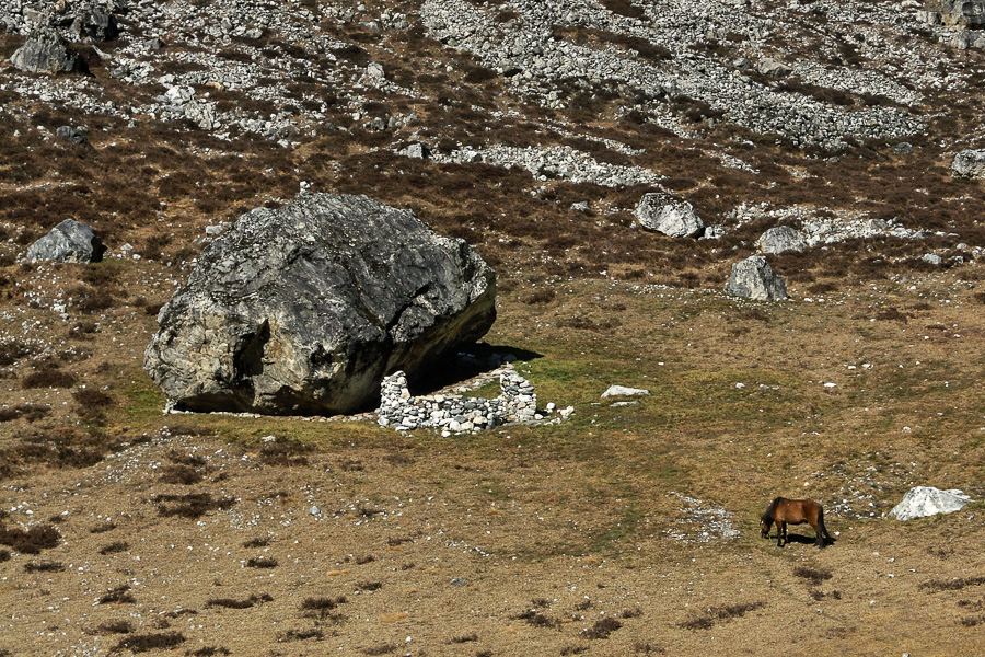 Pemthang Karpo