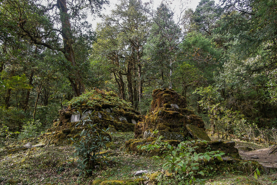 Chorten dans la forêt