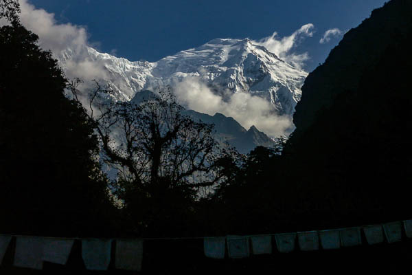 Aperçu du Langtang Lirung