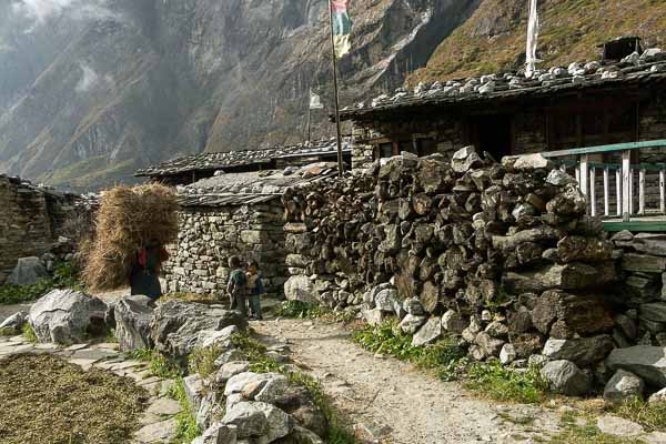 Village de Langtang : porteuse de paille et enfants