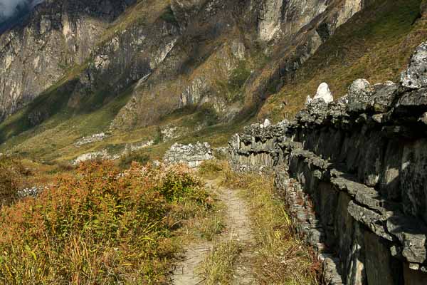Mur de manis