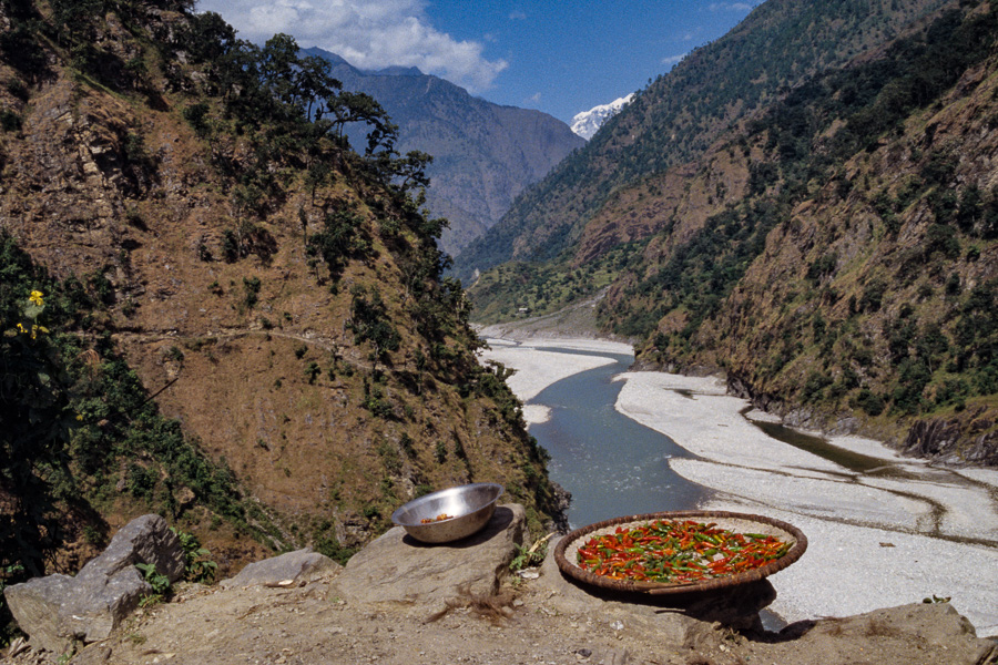 Piments à Nauli Khola