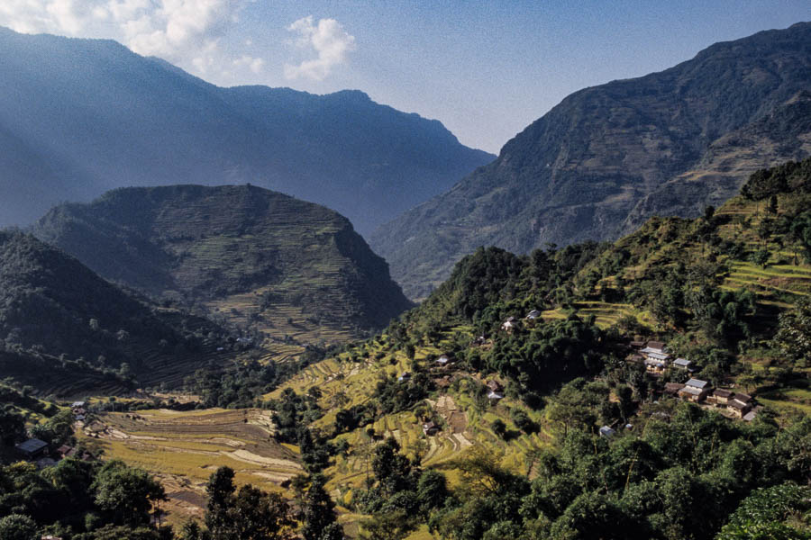 Rizières près de Bahundanda