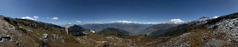 Laurebina Yak