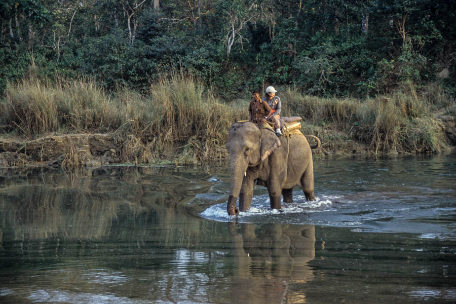 Traversée de la rivière à dos d'éléphant