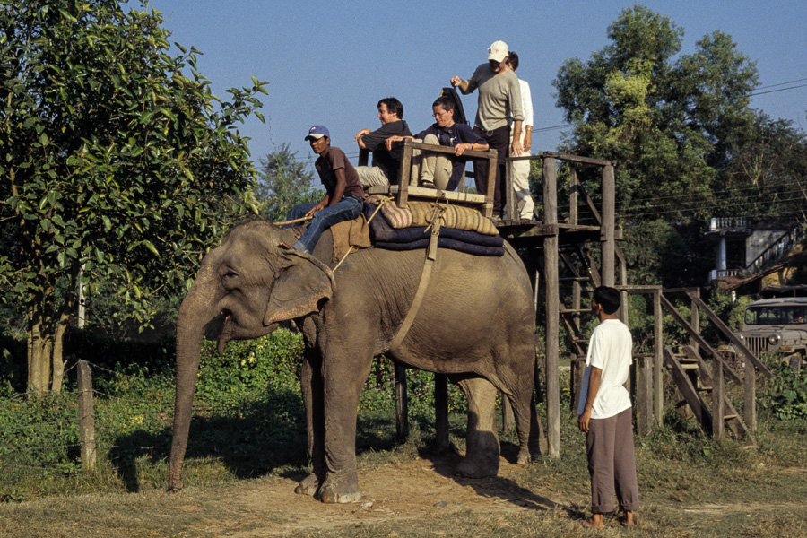 Embarcadère à éléphant