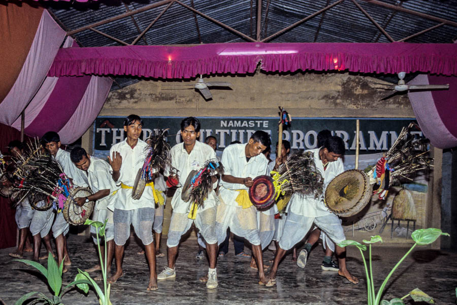 Spectacle culturel tharu : danse