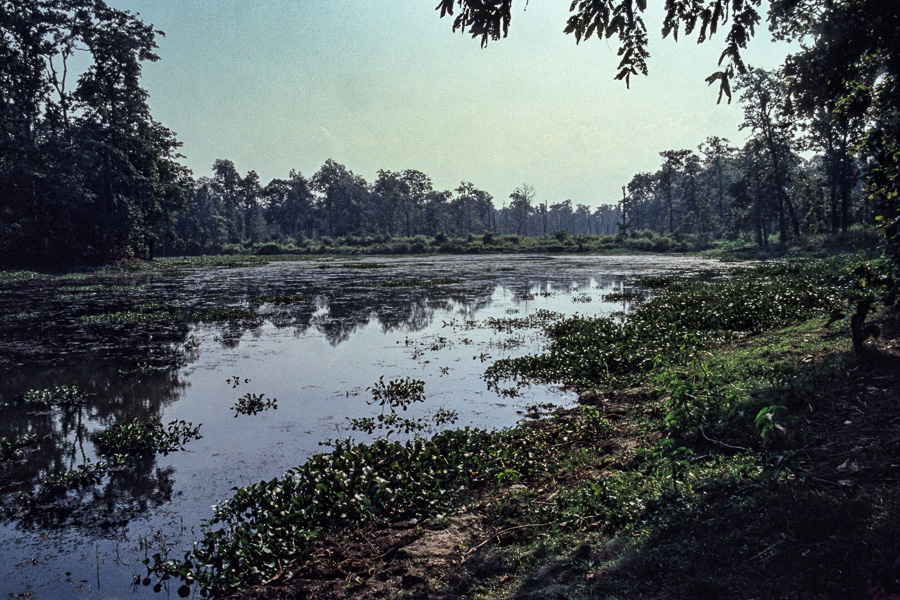 20000 lacs